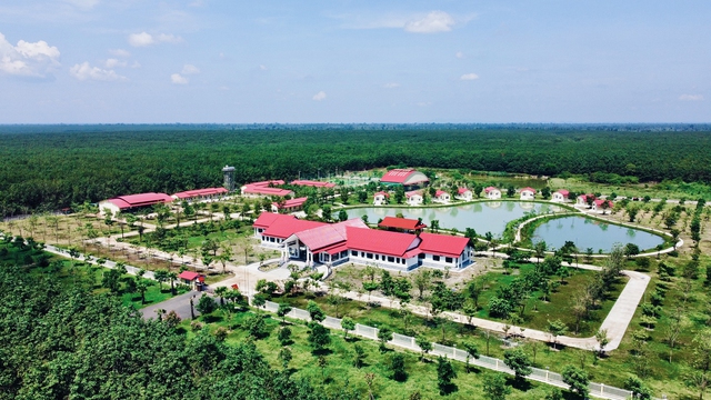 Hành trình cao su Việt ở Campuchia: Khát vọng làm nên kỳ tích